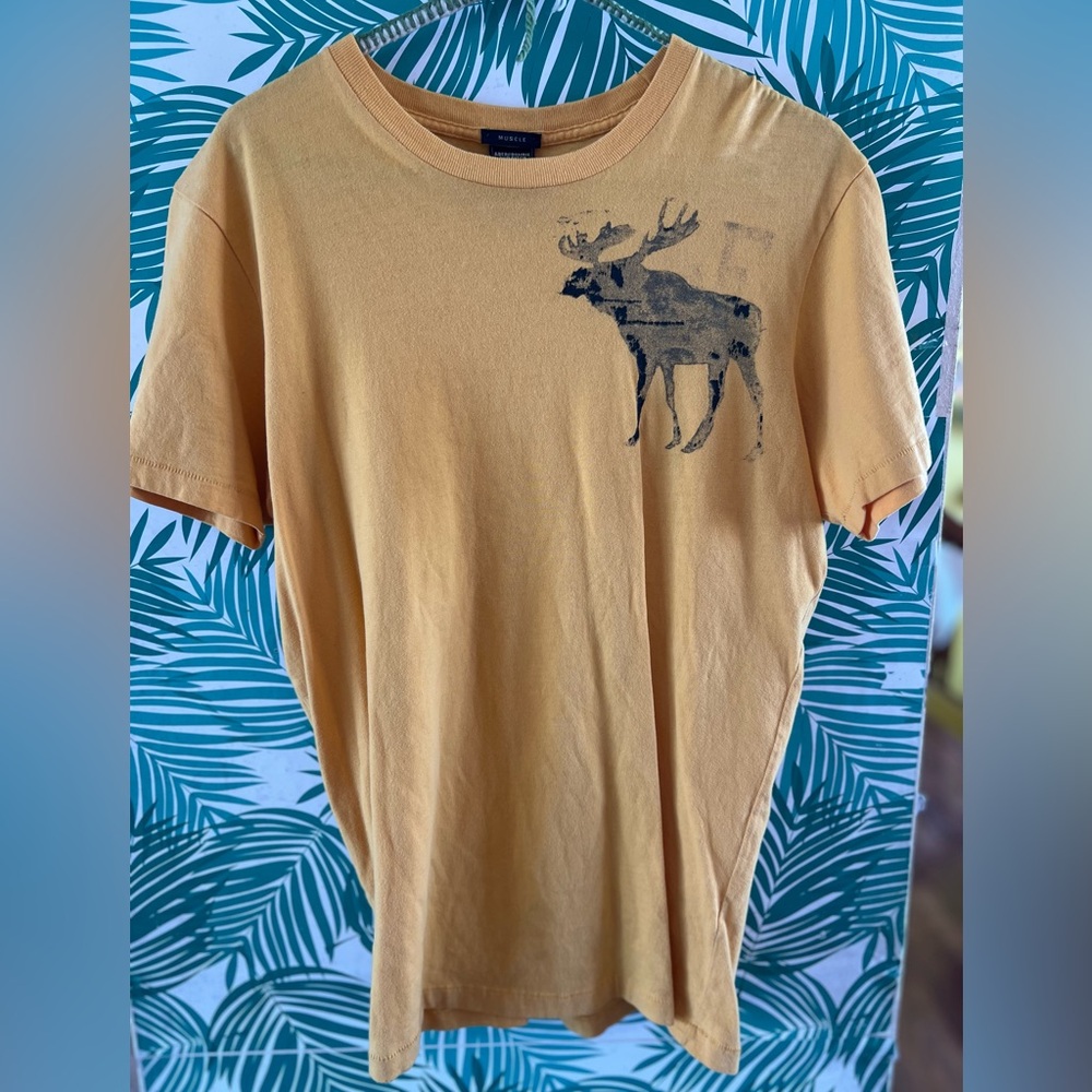 Abercrombie And Fitch Muscle Moose Shirt